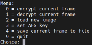 AES Terminal Interface